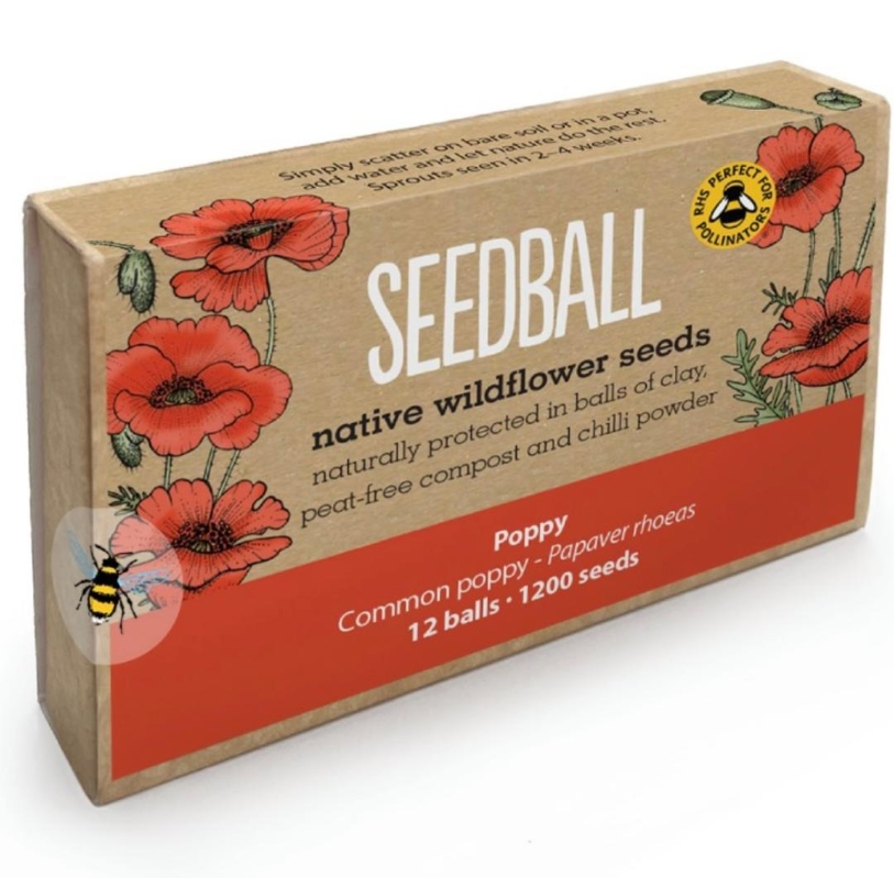 Seedball gift box