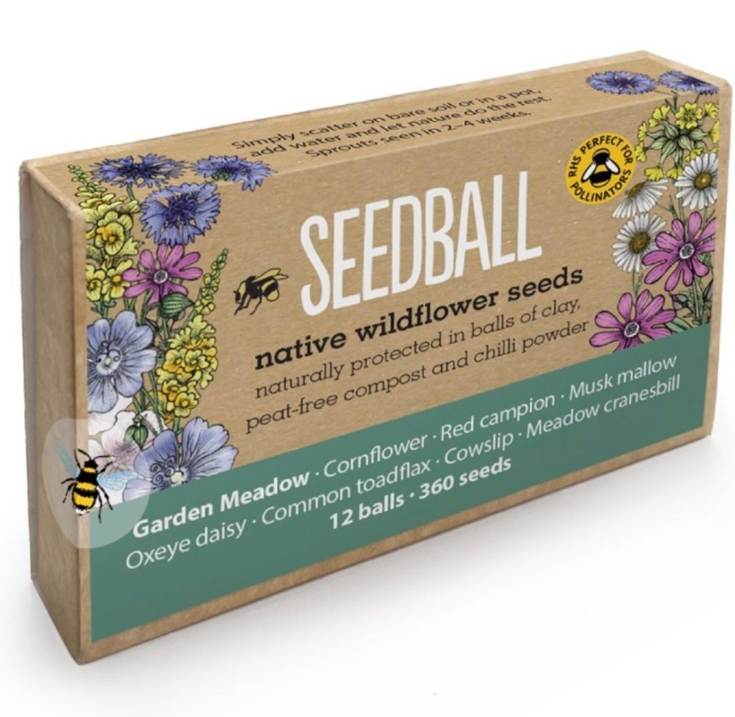 Seedball gift box