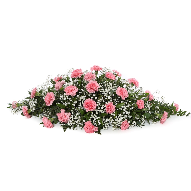 Delicate carnation Coffin Spray