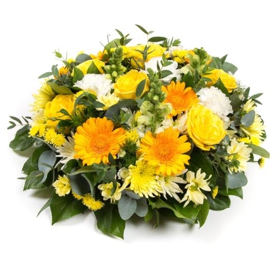 Yellow Posy