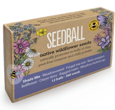 Seedball gift box