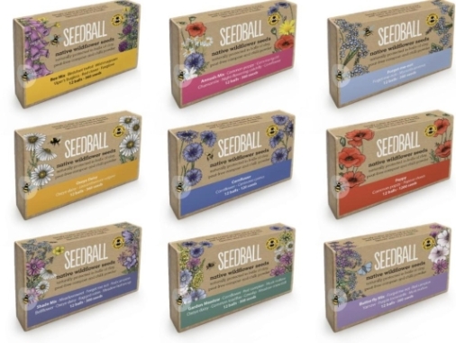 Seedball gift box