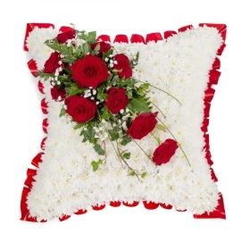 Based Cushion in Red